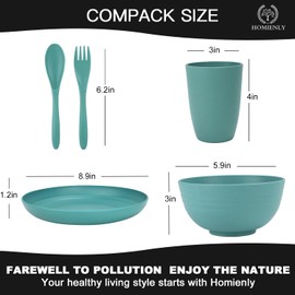 Homienly Wheat Straw Dinnerware Sets, 20pcs Dishes Dinnerware Sets Microwave and Dishwasher Safe, Lightweight Unbreakable Dish Set, Reusable Dinner Plates Kids Plates and Bowls Sets (Multicolor)