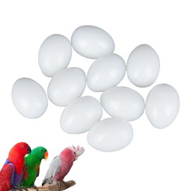 Dong Huang 10pcs Solid Parrot Plastic Fake Eggs Realistic, Simulated Fake Bird Eggs for Hatching, Mini Macaw Cockatoo African Grey Eclectus, Trick Birds to Stop Laying Eggs（37mm*27mm