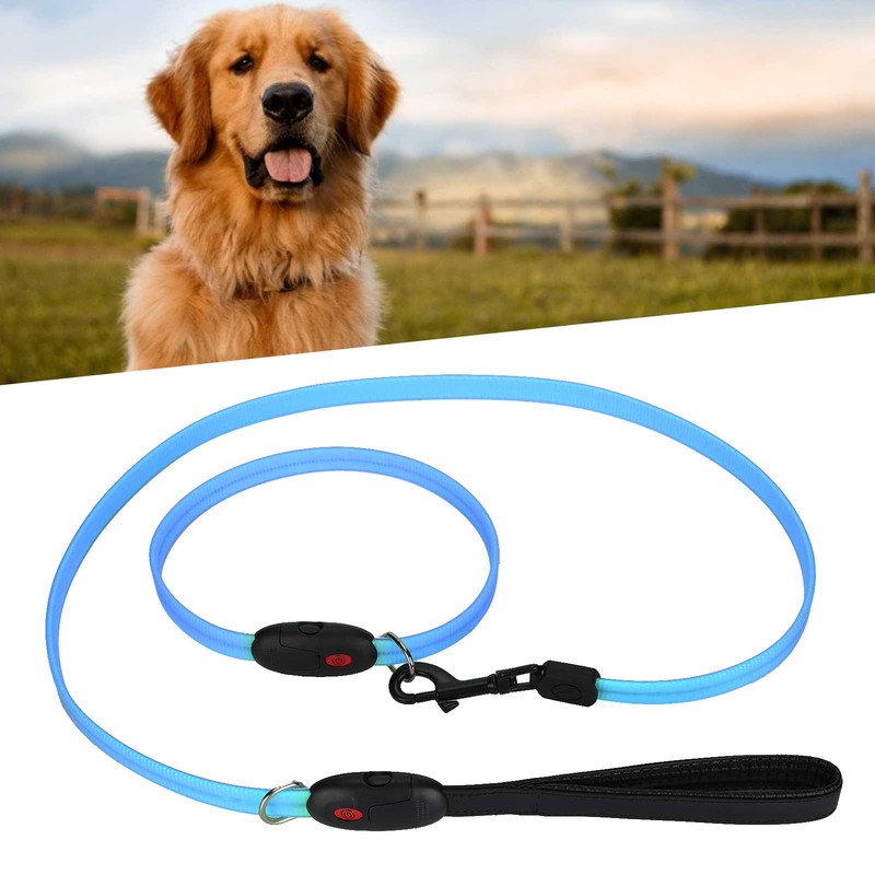 Outdoor Dog LED Collars with Leashes Set USB Rechargeable Pet