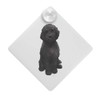 'Black Cavapoo' Suction Cup Car Window Sign (CG00013578)