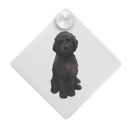 'Black Cavapoo' Suction Cup Car Window Sign (CG00013578)