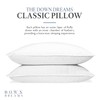 Down Dreams Manchester Mills Classic Pillows - Queen/Medium Support, 2-Pack