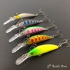TackleTime Trout Lure Minnow Sinking Stream Lure 0.2 oz (5.5