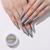 XZMeiLun Chameleon Silver Magic Mirror Chrome Nail Powder, Big-Capacity 1.5g