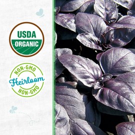 Back to the Roots - 100% Organic Seed Packet - Basil 'Red Rubin' 280mg