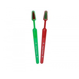 Holiday Toothbrush Adult