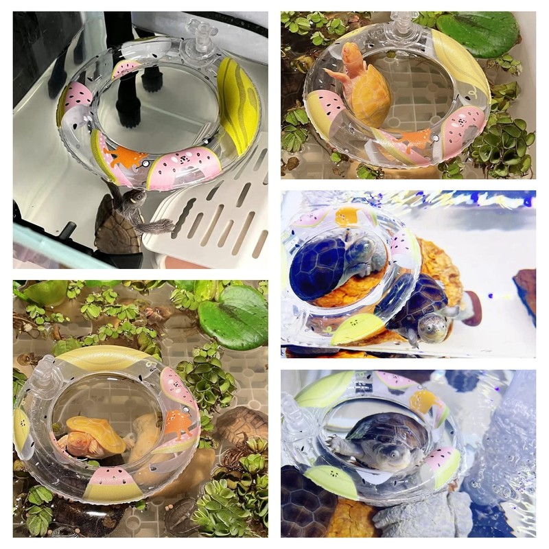 Turtle Floating Platform Toy - 3 Pack Inflatable Small Animal