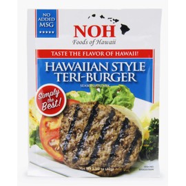 NOH INC Sauce Mix Teri Burger, 1.5 OZ