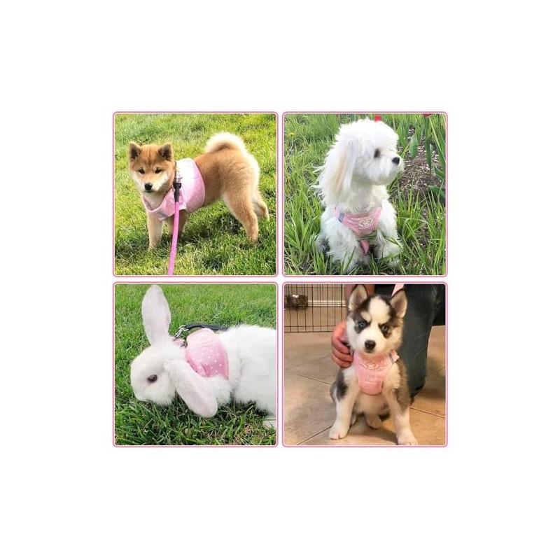 BINGPET BB5004 Polka Dot Soft Vest Dog Puppy Pet Harness