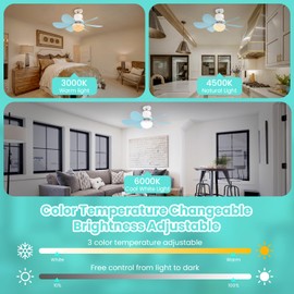 Ceiling Fans with Lights and Remote Control,30w Ceiling Fan Light Dimmable,Quiet Ceiling Fan 6 Blades for Bedroom,Living Room Kitchen 3 Color Temperature,3 Speeds,Timing