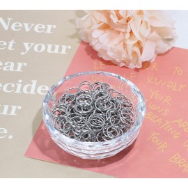 Shapenty 1mm/0.04Inch Thickness Stainless Steel Open Jump Rings Connector Split Rings Bulk for Keychain Necklace Bracelet Earring Pendant Jewelry Finding Making Charm Crafting, 500PCS (12mm)