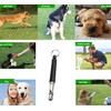PEKMAR Dog Whistle with Free Lanyard, Stainless Steel Adjustable Frequencies