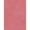 LITHOS Venetian Plaster (Plaster, 1 Gallon)