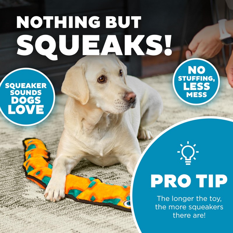 Outward Hound Durablez X-Large Snake Stuffing-Free Squeaky Plush Dog Toy
