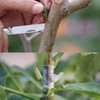 BODLYL Grafting Gardening Knife, Double Blades Garden Knife for Budding