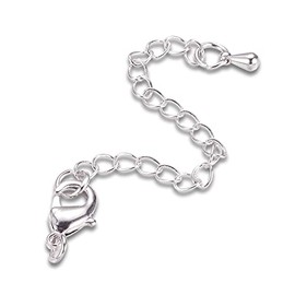 Beadthoven Necklace Extender 10pcs Platinum Metal Bracelet Extension Chain Jewelry Extender Chain with Lobster Clasp Drop Bead Charms for Jewelry Bracelet Anklet Making Repairing, 2.5''