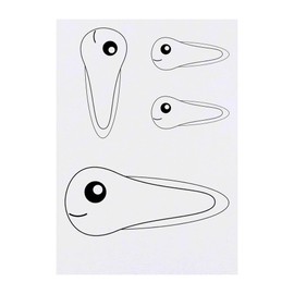 Azeeda 4 x 'Entzückende Kaulquappe' Temporäre Tattoos - Wasserfest, Hautfreundlich & Ungiftig · Transfers in Verschiedenen Größen (TO00079910)