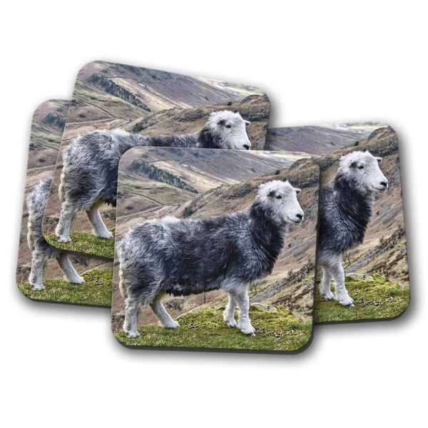 4 Set - Beautiful Herdwick Sheep Coaster - Farm Wool