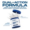 Applied Nutrition - Creatine + HMB - 5g Creatine Monohydrate