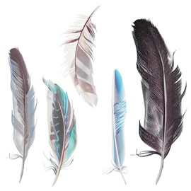 DUSCOKE 3D Feather Car Sticker Decal, PVC Waterproof Auto Window Sticker, Funny Car Bumper Decals, Vehicle Exterior Decorative Stickers Accessories for Wall, Door, Laptop, Helmet, Luggage (Style 2)