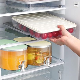 5L Fridge Cold Kettle, Plastic Cold Water Pitcher, Fruit Drink Dispenser Beverage Container with Faucet Iced Beverage Dispenser Refrigerator Drink Dispenser for Summer Daily Use (Light Green)