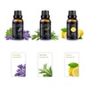 Essential Pure Tea Tree, Lavender, Lemon Essential Oils 3pc Oil