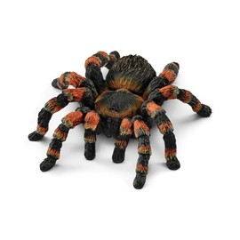 tarantula / 타란튤라