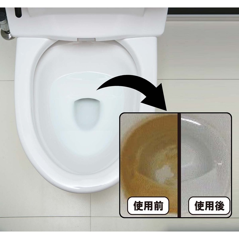 Professional Toilet Cleaner 10.1 fl oz (300 ml)