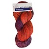 Malabrigo - Rios Knitting Yarn - Aniversario (# 005)