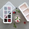 OGGI Prep & Portion Silicone Freezer Trays with Lid -