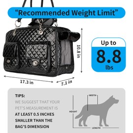 Betop House Soft-Sided Pet Travel Carrier Airline Approved for Pet Small Dog and Cat Collapsible, Black Shiny Patent Leather