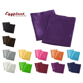 Aiking Home 2 Pieces of Colorful Shiny Satin Queen Size Pillow Cases, Eggplant