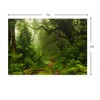 Aisnyho Fairy Tale Forest Backdrop Background Jungle Backdrops for Photography