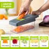 FREMON Vegetable Cutter, Multifunctional Mandolin Chip Cutter & Onion Cutter,