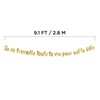 Glitzerbanner FR Whole Life Party