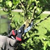 RONAVO Pruning Shears, Steel Blade, Titanium Coated Bypass Type, Pruning