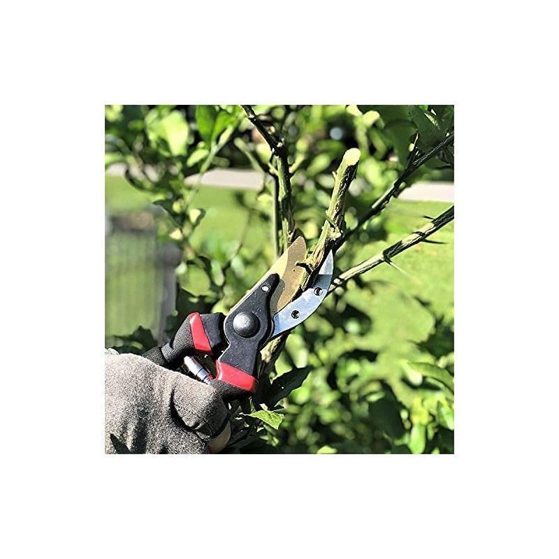RONAVO Pruning Shears, Steel Blade, Titanium Coated Bypass Type, Pruning