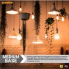 Sunlite 41733 G25 Globe Incandescent Light Bulbs, 25 Watts, Medium