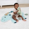 The Peanutshell Tummy Time Mat Girl and Dino Baby Lovey-