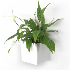 KalaMitica 9 cm Diameter Cube Magnetic Pot - White
