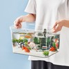 Frameless Clear Aquarium 360 Degree Visibility DIY Decoration Clear Rimless