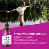 Vimergy USDA Organic Milk Thistle Extract, 57 Servings – Healthy