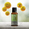 Talya%100 Saf Çay Ağacı Uçucu Yağı 10ml - Akne ve