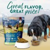 Addiction Steakhouse Beef & Zucchini Raw Alternative Dog Food -