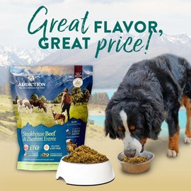 Addiction Steakhouse Beef & Zucchini Raw Alternative Dog Food - Gently Air-Dried Complete Meal or Dog Food Topper for Digestive and Skin and Coat Health, 2 lb