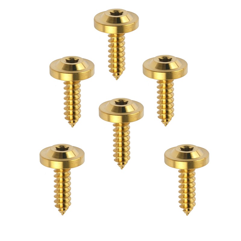 Dingtai Titanium M4 M5 M6 15 17 20 25mm Self