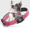 Collar para Perros Impermeable IP68 Mejorado con Soporte para AirTag