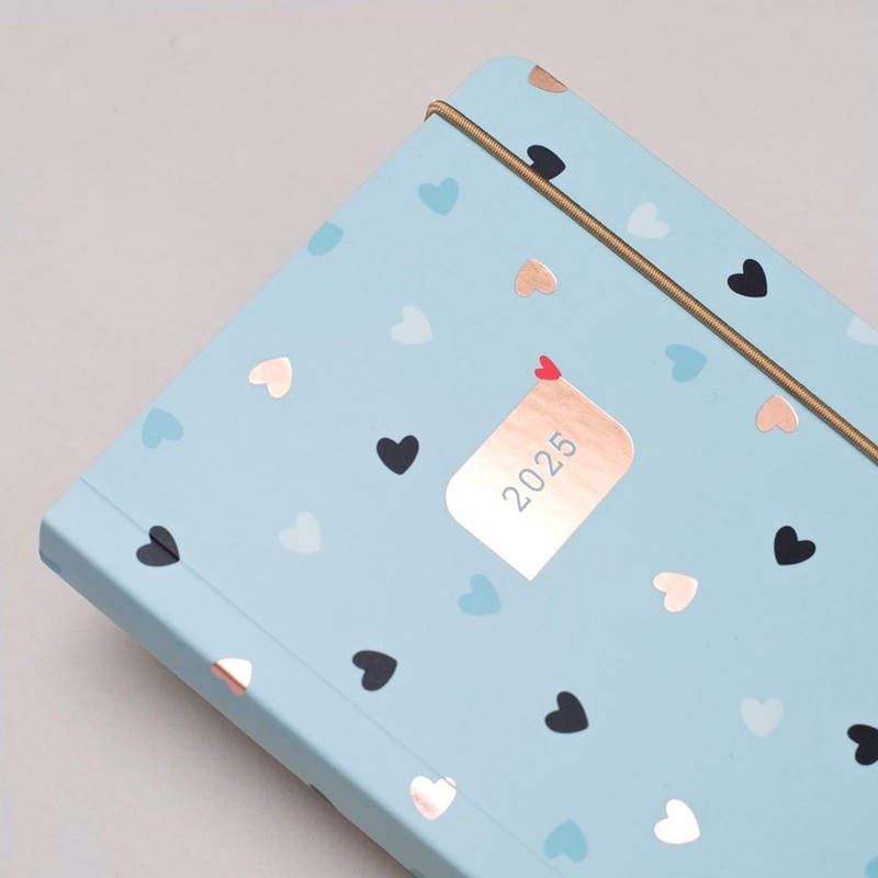 Matilda Moo 2025 diary | A6 diary | day on