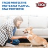 Trixie Protective Dog Pant, Medium, Black