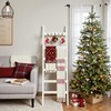 TEAKMAMA 6-Tier Blanket Ladder for Living Room and Bedroom,5.4 Ft